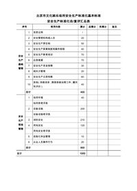 文化娛樂場所安全生產(chǎn)標準化基本標準docx