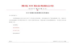 救援隊(duì)伍設(shè)置任命文件doc