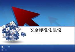 三級安全標準化培訓pptx