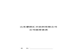 公司級檢查表doc