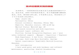 技術(shù)經(jīng)理英文簡歷模板doc