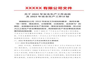 2022年度安全生產(chǎn)年度工作總結和2023年安全生產(chǎn)工作計劃docx