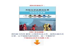 危險化學(xué)品處置手冊docx