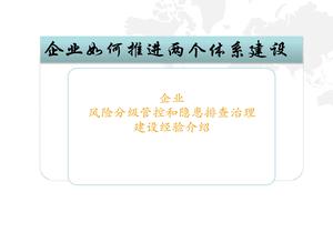 企業(yè)如何推進兩個體系建設(shè)pptx