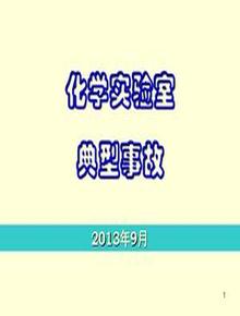 化學(xué)實(shí)驗(yàn)室安全事故案例pdf