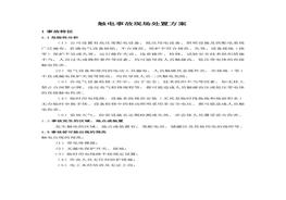 觸電事故現(xiàn)場處置方案doc