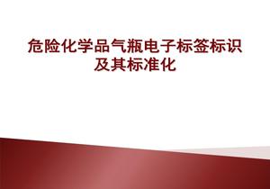 氣瓶電子標(biāo)識(shí)及其標(biāo)準(zhǔn)化（39頁(yè)）pptx
