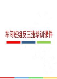 車間班組反三違培訓(xùn)課件（66頁）ppt