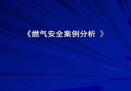 燃?xì)獍踩咐治鲋v解（160頁）pptx