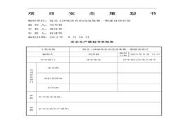項(xiàng)目安全策劃書doc