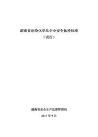湖南省危險化學品企業(yè)安全體檢標準（試行）docx