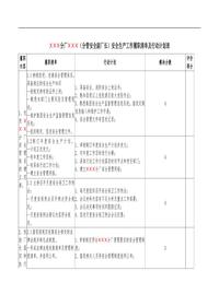安全生產(chǎn)工作履職考核清單及行動計劃表（14頁）doc
