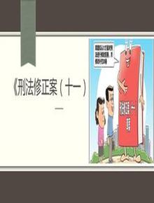 刑法修正案十一與民法典的銜接(38頁)pptx