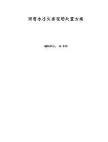 雨雪冰凍災(zāi)害現(xiàn)場處置方案docx