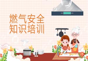 燃?xì)獍踩R(shí)培訓(xùn)pptx