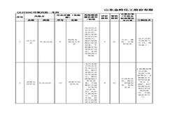股份公司重大風(fēng)險(xiǎn)xlsx