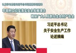 習(xí)近平總書記ppt
