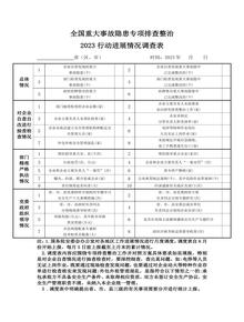 全國重大事故隱患專項排查整治2023行動進展情況調(diào)查表docx