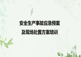 安全生產(chǎn)事故應急預案及現(xiàn)場處置方案培訓pptx