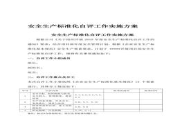 安全生產(chǎn)標準化自評工作方案doc