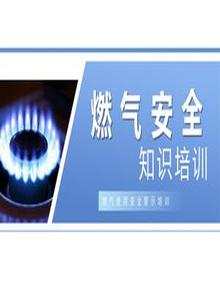 燃?xì)馐褂冒踩九嘤?xùn)丨53頁pptx