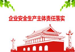 企業(yè)安全生產(chǎn)主體責任落實ppt