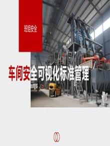 【視頻課配套課件】車間安全可視化標(biāo)準(zhǔn)管理pptx