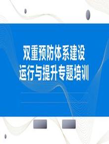 風(fēng)險分級管控與隱患排查治理雙體系運(yùn)行與提升（33頁）pptx