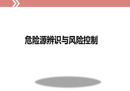 危險(xiǎn)源辨識(shí)與風(fēng)險(xiǎn)控制ppt