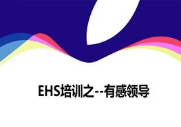 EHS培訓--有感領(lǐng)導(dǎo)ppt