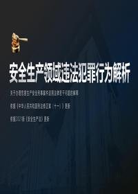 關(guān)于安全生產(chǎn)領(lǐng)域違法犯罪的詳細解析pptx