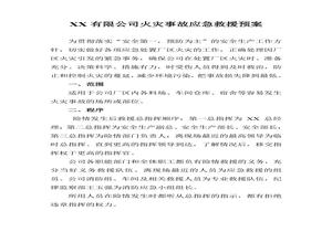 公司火災(zāi)事故應(yīng)急救援預(yù)案（3頁）doc