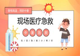 夏日高溫現(xiàn)場醫(yī)療急救中暑急救pptx