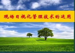 現(xiàn)場(chǎng)目視化管理技術(shù)的運(yùn)用PPTpptx