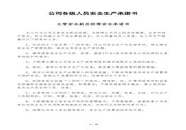 公司各級人員安全生產(chǎn)承諾書docx