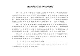 重大危險(xiǎn)源報(bào)告制度docx