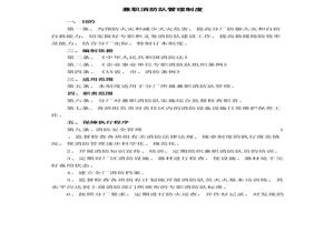 兼職消防隊(duì)管理制度docx