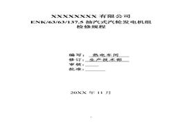 汽輪機檢修規(guī)程doc