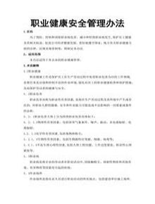 職業(yè)健康安全管理辦法docx