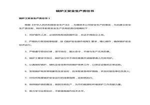 鍋爐工安全生產(chǎn)責(zé)任書doc