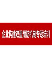 2023新版企業(yè)雙重預(yù)防機(jī)制構(gòu)建專(zhuān)題培訓(xùn)（110頁(yè)）pptx