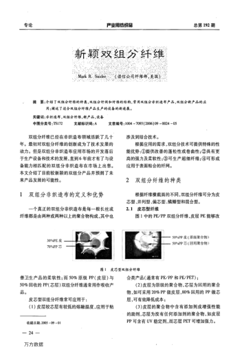 新穎雙組分纖維