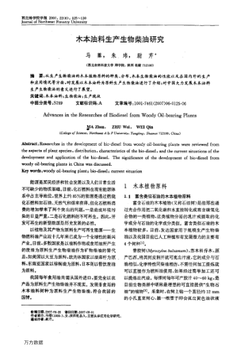 木本油料生產生物柴油研究