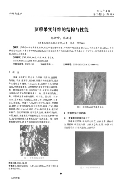 蘿藦果實纖維的結(jié)構(gòu)與性能