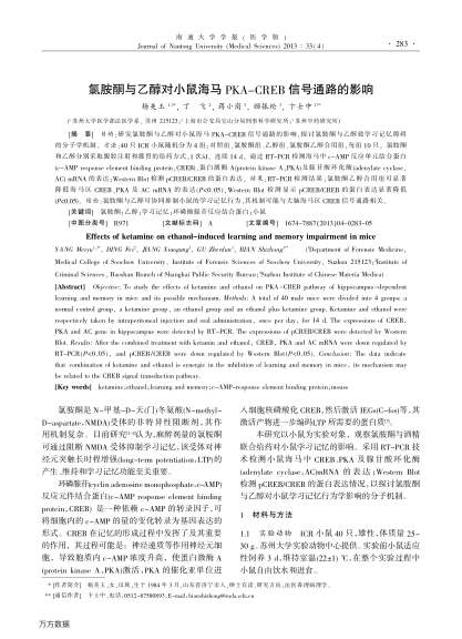 氯胺酮與乙醇對小鼠海馬PKA-CREB 信號通路的影響