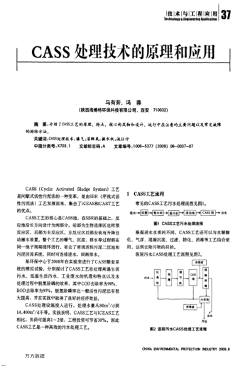 CASS處理技術的原理和應用