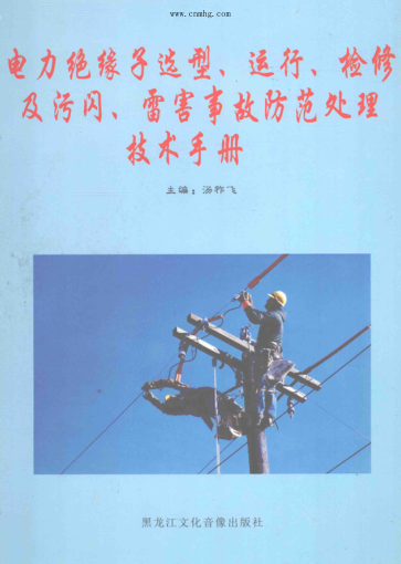 電力絕緣子選型、運(yùn)行、檢修及污閃、雷害事故防范處理技術(shù)手冊 第2卷